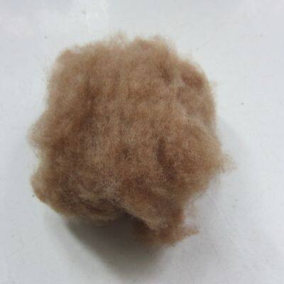 Factory Price 100% Wash Raw Sheep Wool Sheep Wool For Sale photo-3
