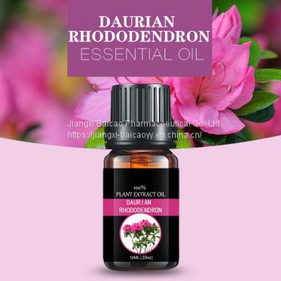 GMP rhododendron essential oil aromatic essential oil cosmetic base oil