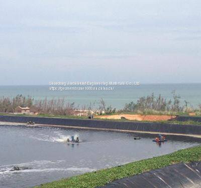 0.50mm Thick HDPE Geotextile Film for Raising Shrimp in High Water Ponds photo-3
