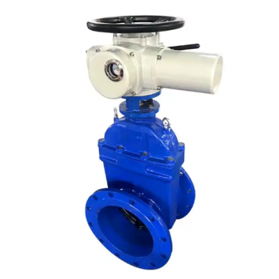 High Quality Electric Gate Valve Flange Gate Valve photo-4