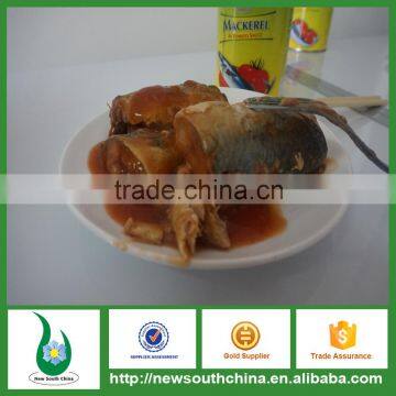 Wholesale african food canned mackerel fish in tomato sauce for camper