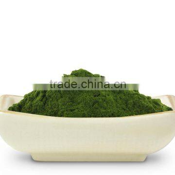 Superior Wheat Grass Powder