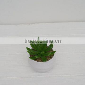 Mini potted artificial succulents plants echeveria