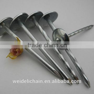 2015 New arrival high security and pratical umbrella head roofing nails