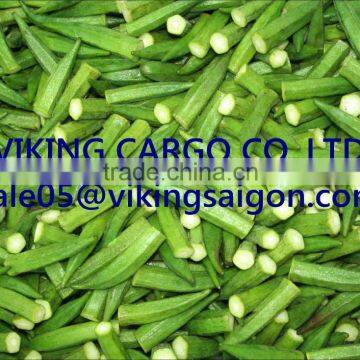 BEST PRICE_FRESH OKRA _HIGH QUALITY FROM VIETNAM !