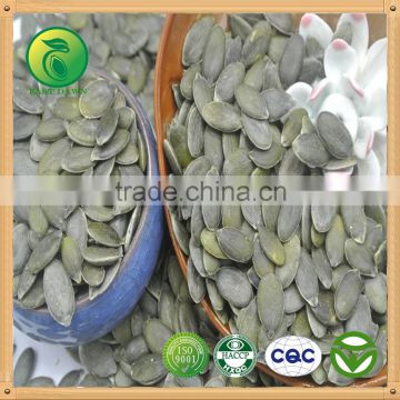 High Quality Dried Pumpkin Seeds GWS