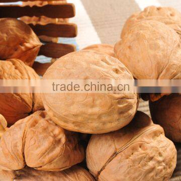 Chinese good quality walnuts inshell