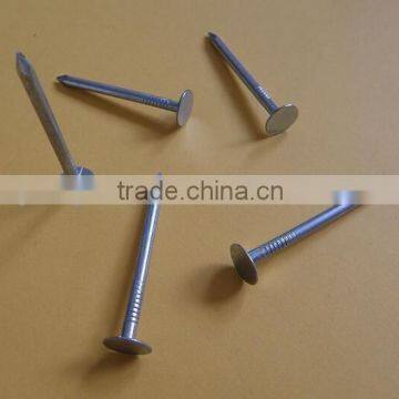 Galvanized Concrete Nails Nails