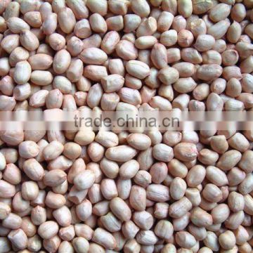 60/70 Peanut kernels(round type)