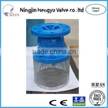 Stainless Steel Foot Valve SS304/SS316 Foot Valve ANSI Flange Foot Valve With Strainer photo-5