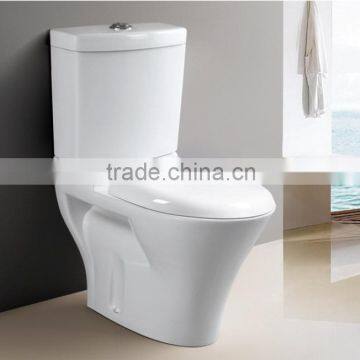 Foor Mounted and Wall Mounted Both Available Washing Down One Piece Toilet