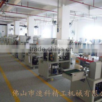 Pillow Packing Machine SZ-250D photo-5