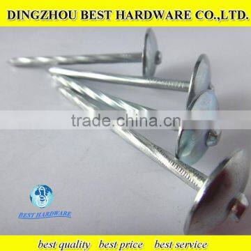 flat roofing nail type