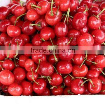 Bagged 18 Degree Sugar Content of China Fresh Cherries photo-4