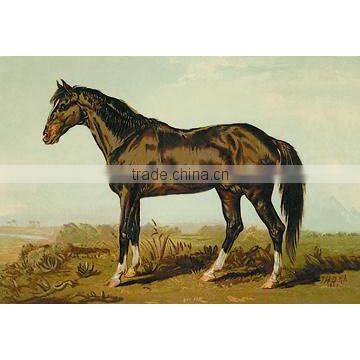 Dongola Horse 20x30 poster