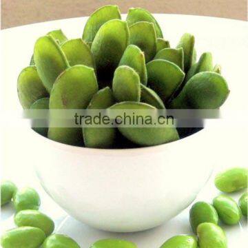 functional soy protein for meat processing industry