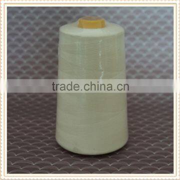 Different Types Baby Cones 100 Pct Spun Polyester Sewing Threads for Embroidery photo-2