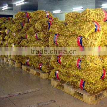 Chinese Food Ginger at the Price of Fresh Ginger