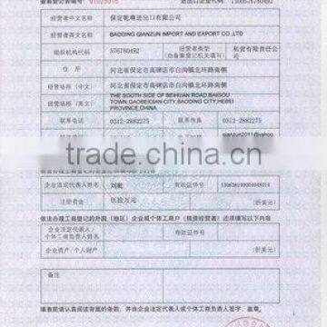 CERTIFICATE OF APPROVAL FOR ENTERPRISES WITH FOREI