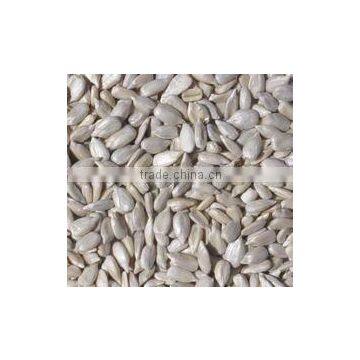 Sunflower seed kernels
