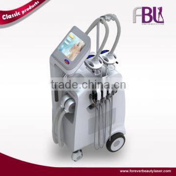 Vertical Body Fat Freezing Body Salons Cryolipolysis Beauty Machine 50 / 60Hz