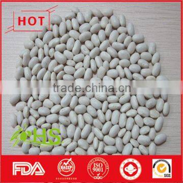 High quality white kidney beans for sale at cheap price