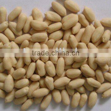 Blanched Peanut Kernels