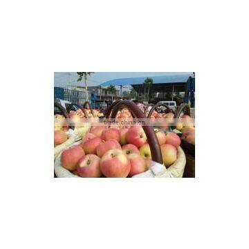 Fresh Red Gala Apple photo-2