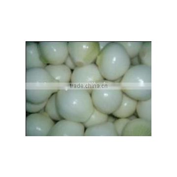 New crop fresh peeled onion from factory supplier in Jinxiang