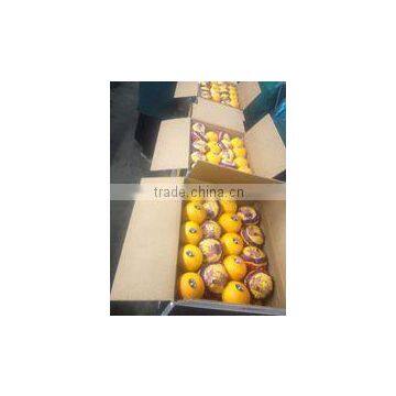 Cheap sweet wholesale EGYPT Fresh orange