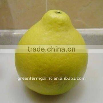 Fresh red pomelo from China