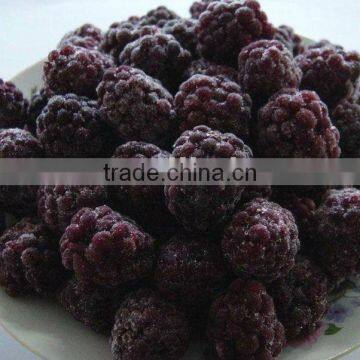 supply IQF Blackberries