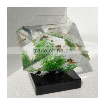 acrylic fish tank