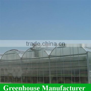 Customized High Quality Polycarbonate Sheet Agricultural Greenhouses