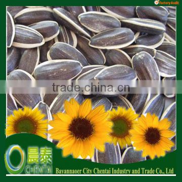 High Quality Inner Mongolia Bayannaoer Sunflower Seeds 5009