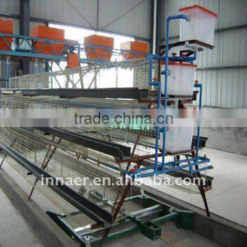 Innaer Chicken Poultry(chicken Cage Factory) photo-3