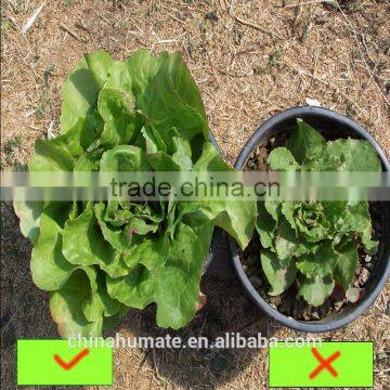 Sell Agrochemicals And Fertilizers 50-65% Potassium Humate Humic Acid From Leonardite photo-3