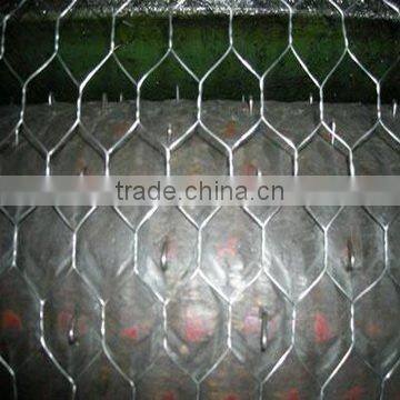 Hexagonal Wire Netting