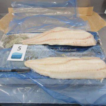 Atlantic Cod Fish, Cod Fillet, Norway Dry Stock Fish Cod HOG, Cod Bladder, HADDOCK Fish, Saithe Fish, Frozen Cod Head photo-3
