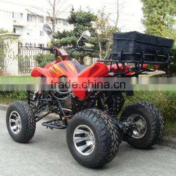 Hot Sale Buggy 4x4 for Adults photo-4