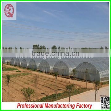 plastic film commercial greenhouse for tomatoes with arched type