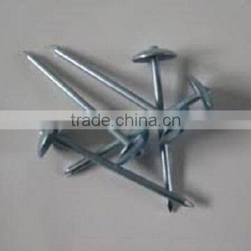 umbrella head roofing nail China supplier