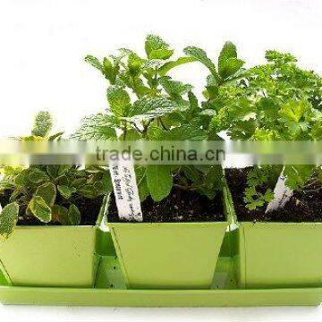 Kitchen Herb Planter Kit, Herb Growing Kit, Container Garden Kit