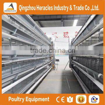 Factory Price Automatic Layer Cage for Sale photo-3