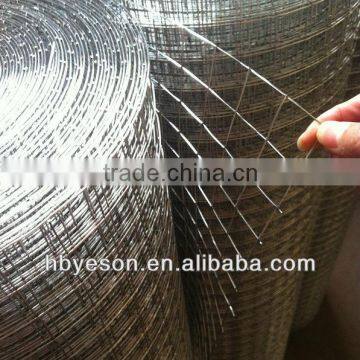 galvanized welded wire mesh/Anping factory price wire mesh on sell