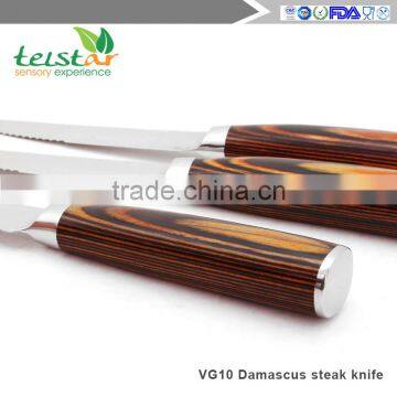 4.5-inch Japanese VG-10 67 Layers Damascus Premium Steak Knife (4 Sets) photo-4