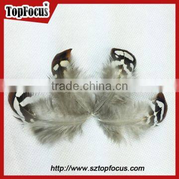 Hot Sale Dyed Wholesale Natural Cheap Artificial Pheasant Feathers Prices photo-4