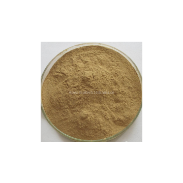 Chinese Manufacturer Cinnamon Bark Extract Supply Directly