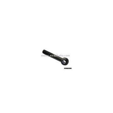 eye bolt
