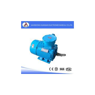 YB2 Explosion-proof Electric Motor